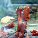 IMG 7431